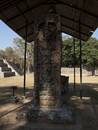 Stela H in the Grand Plaza at Copan - copan mayan ruins,copan mayan temple,mayan temple pictures,mayan ruins photos